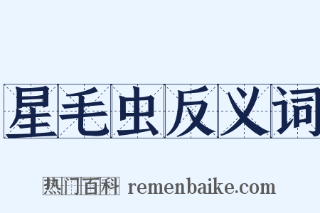 星毛虫反义词是什么意思的图片